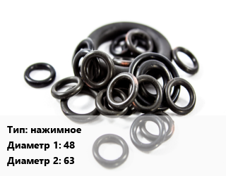 Кольцо РТИ нажимное D=48х63, 1, шт цена от 128.7 ₼ / шт, где купить, условия доставки в Баку и Бакинская области
